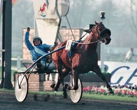 French stallions shaping the trotting breed ‘down under’